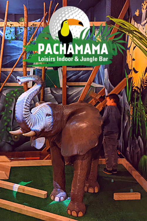 puzzle animations partenaire pachamama